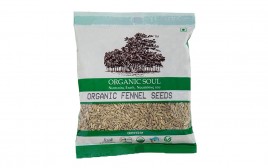 Organic Soul Organic Fennel Seeds   Pack  100 grams